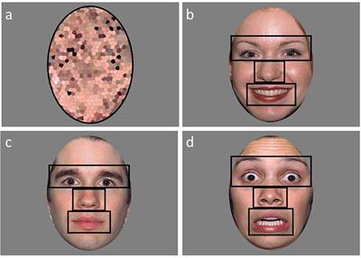 Atypical Social Attention and Emotional Face Processing in Autism Spectrum Disorder: Insights From Face Scanning and Pupillometry